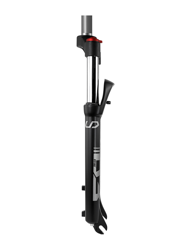 D3