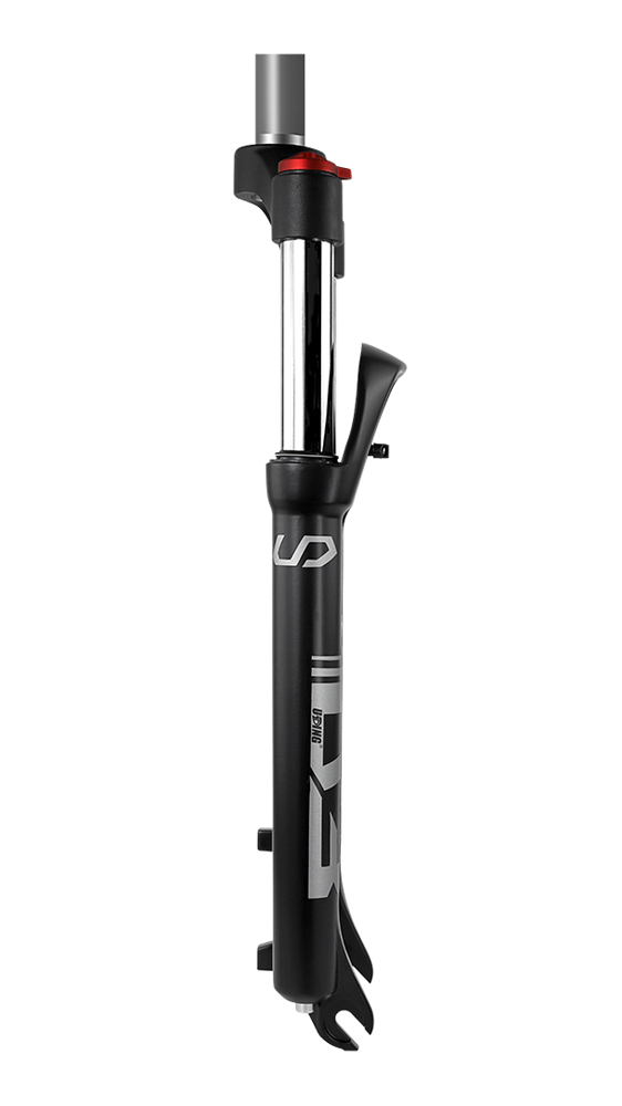 D3